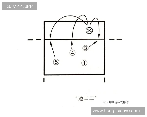 成都排球队战术深度解析与对比分析展现球队优势与不足 成都排球队战术深度解析与对比分析展现球队优势与不足