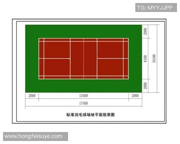 深圳羽毛球队选拔赛表现分析速度优势与提升空间探讨